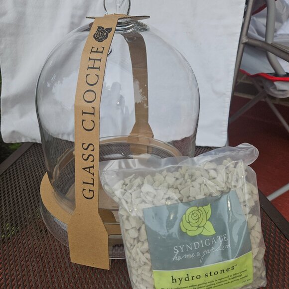 Large 12" Syndicate Home and Garden Glass Terrarium/Cloche W/Bottom Plate - Picture 8 of 9